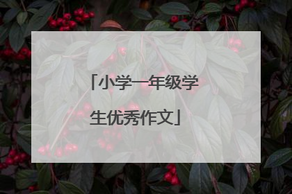 小学一年级学生优秀作文