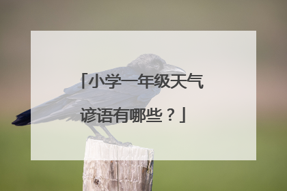 小学一年级天气谚语有哪些?