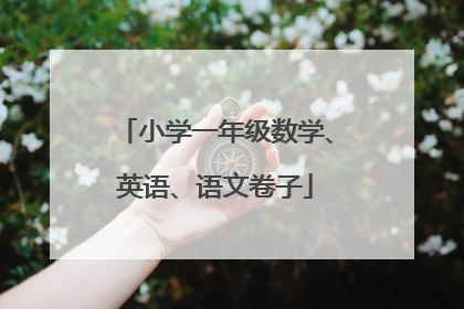 小学一年级数学、英语、语文卷子