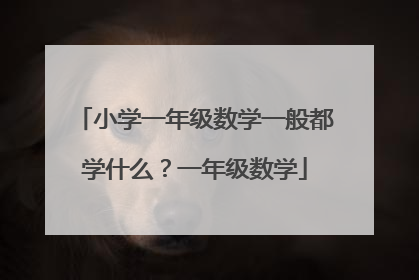 小学一年级数学一般都学什么？一年级数学