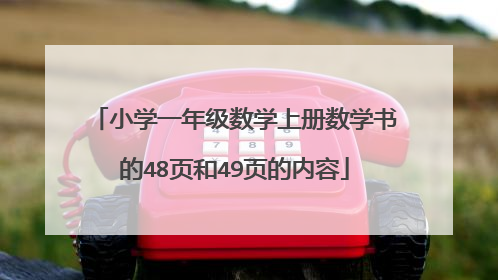 小学一年级数学上册数学书的48页和49页的内容