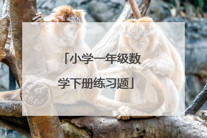 小学一年级数学下册练习题