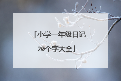 小学一年级日记20个字大全