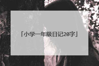 小学一年级日记20字