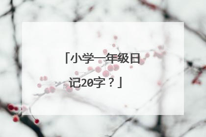 小学一年级日记20字？