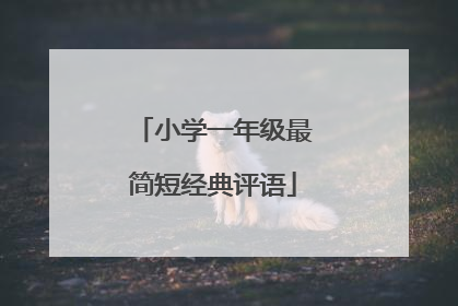 小学一年级最简短经典评语