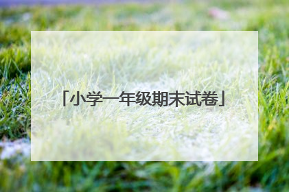 小学一年级期末试卷