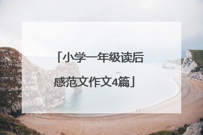 小学一年级读后感范文作文4篇