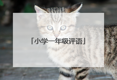 小学一年级评语
