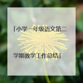 小学一年级语文第二学期教学工作总结