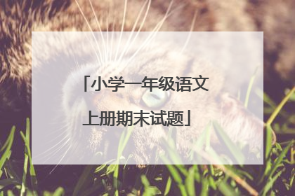 小学一年级语文上册期末试题