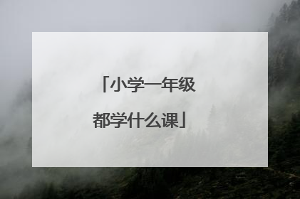 小学一年级都学什么课