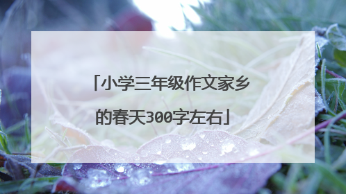 小学三年级作文家乡的春天300字左右