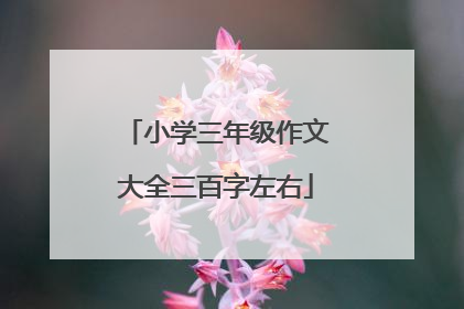 小学三年级作文大全三百字左右