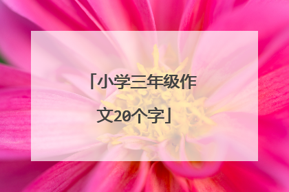 小学三年级作文20个字