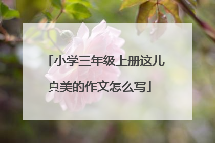 小学三年级上册这儿真美的作文怎么写