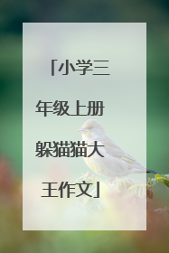 小学三年级上册躲猫猫大王作文