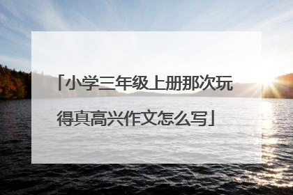 小学三年级上册那次玩得真高兴作文怎么写