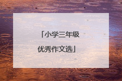 小学三年级优秀作文选