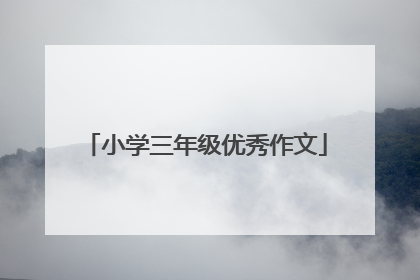 小学三年级优秀作文