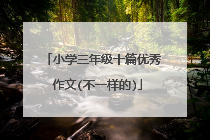 小学三年级十篇优秀作文(不一样的)