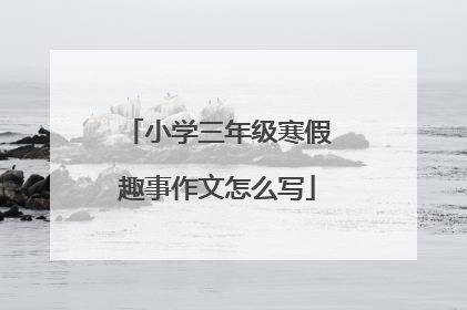 小学三年级寒假趣事作文怎么写