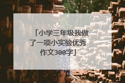 小学三年级我做了一项小实验优秀作文300字