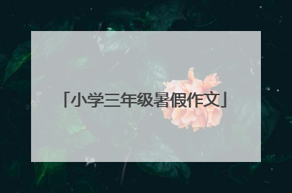 小学三年级暑假作文