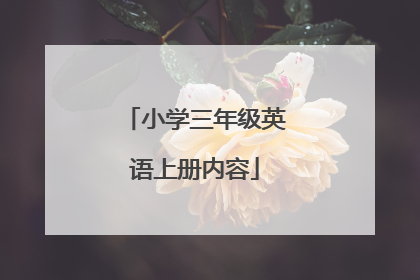 小学三年级英语上册内容
