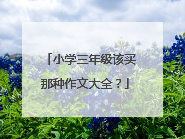 小学三年级该买那种作文大全？