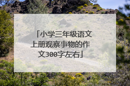小学三年级语文上册观察事物的作文300字左右