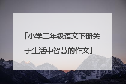 小学三年级语文下册关于生活中智慧的作文