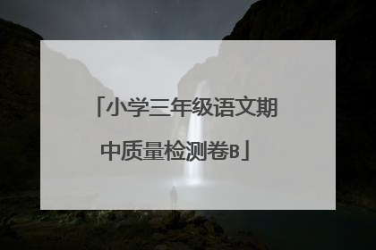 小学三年级语文期中质量检测卷B
