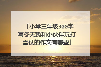 小学三年级300字写冬天我和小伙伴玩打雪仗的作文有哪些