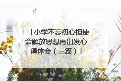 小学不忘初心担使命解放思想再出发心得体会(三篇)