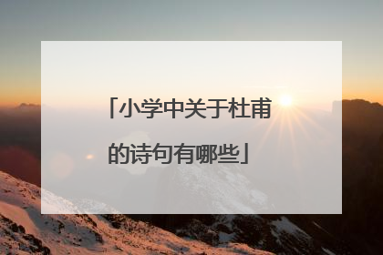 小学中关于杜甫的诗句有哪些