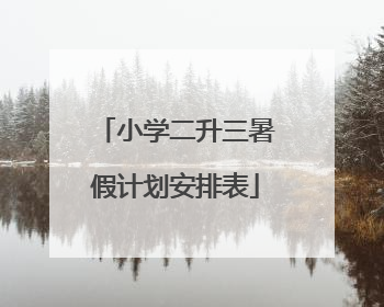 小学二升三暑假计划安排表