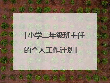 小学二年级班主任的个人工作计划
