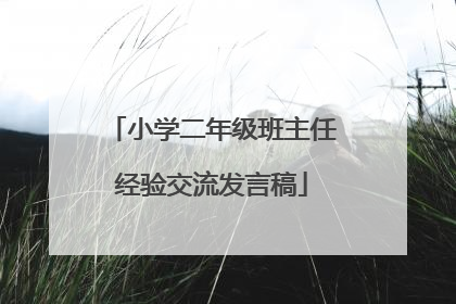 小学二年级班主任经验交流发言稿