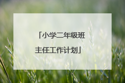 小学二年级班主任工作计划