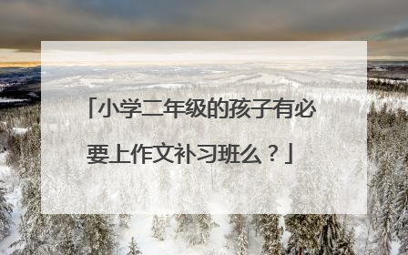 小学二年级的孩子有必要上作文补习班么？