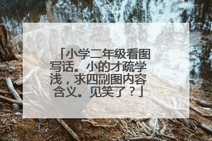 小学二年级看图写话。小的才疏学浅,求四副图内容含义。见笑了?