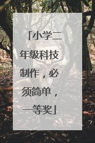 小学二年级科技制作,必须简单,一等奖
