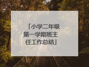 小学二年级第一学期班主任工作总结