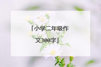 小学二年级作文300字