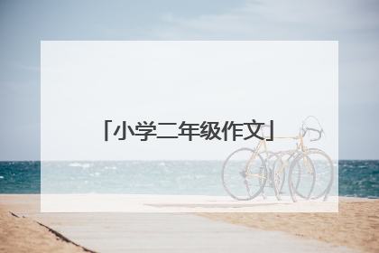 小学二年级作文