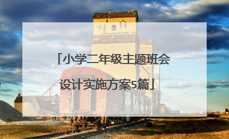 小学二年级主题班会设计实施方案5篇