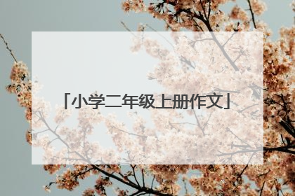 小学二年级上册作文