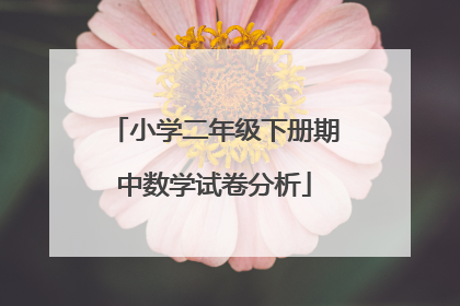 小学二年级下册期中数学试卷分析