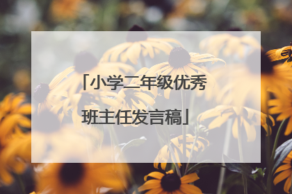 小学二年级优秀班主任发言稿